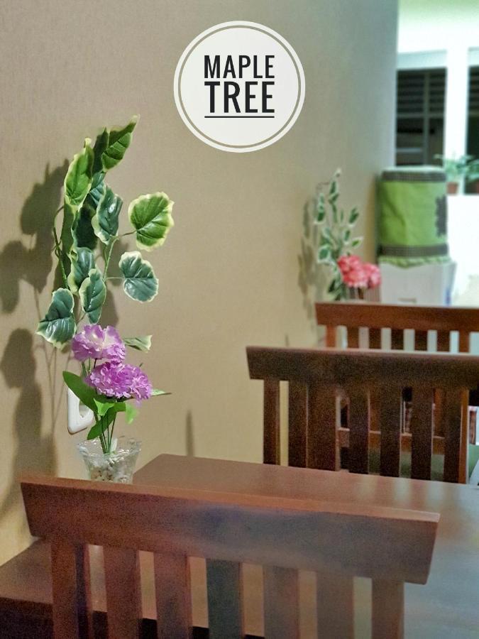 Maple Tree Homestay Maguwo Exterior foto